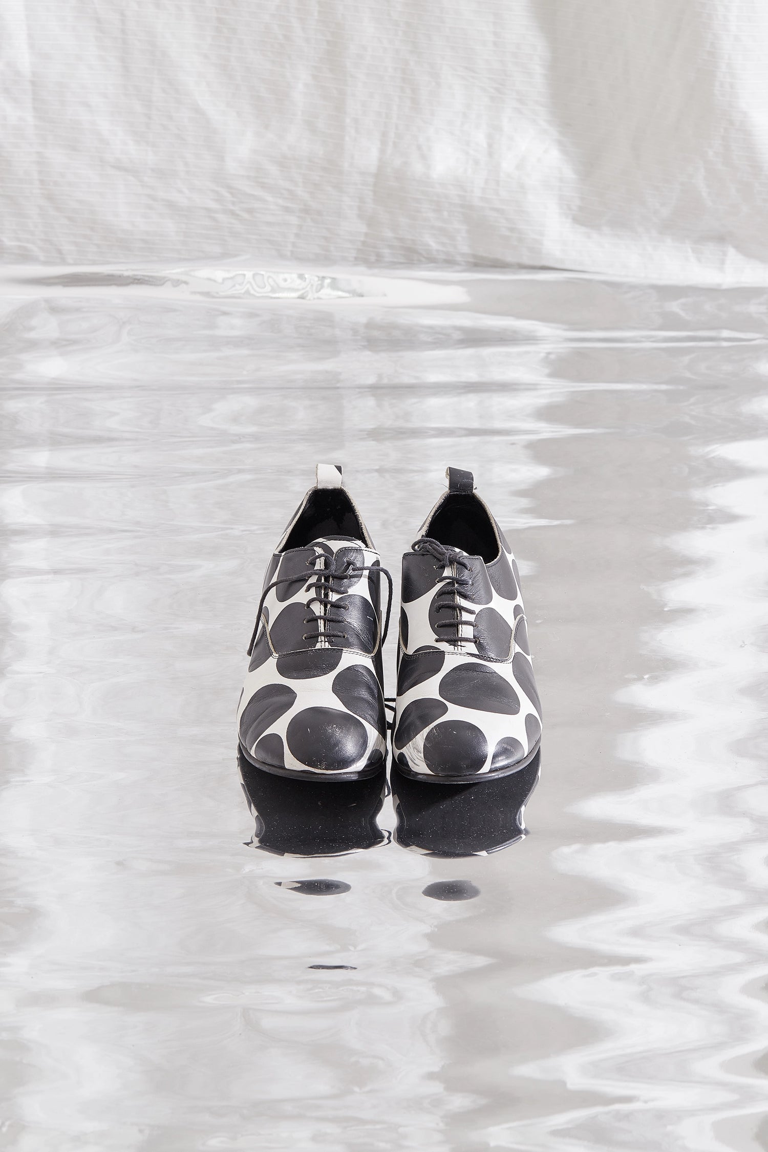 Polka Dot Derby
